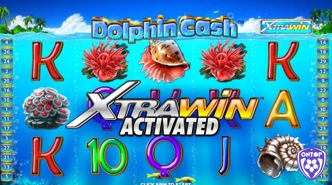 Để kích hoạt Extra Win game thủ cần đặt cược thêm 50% tổng cược ban đầu