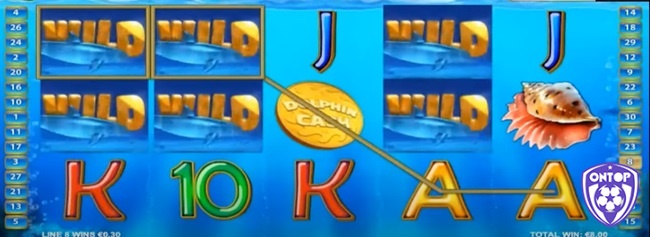 Wild là biểu tượng cá heo kèm chữ Wild trong Dolphin Cash Jackpot