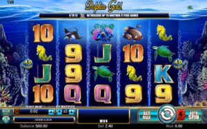 Dolphin Gold Slot: Gặp gỡ những chú cá heo đáng yêu