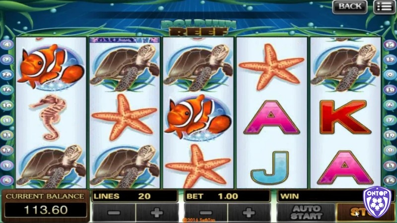 Dolphin Reef Slot thường có mức RTP ổn định, dao động từ khoảng 95%