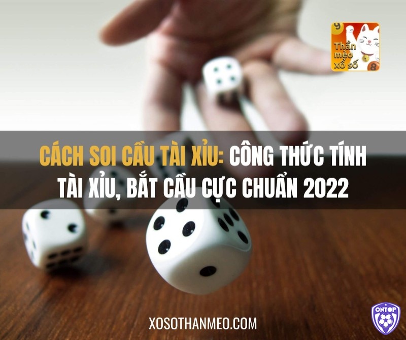 Khám phá chi tiết về cách soi cầu tài xỉu cho người chơi mới