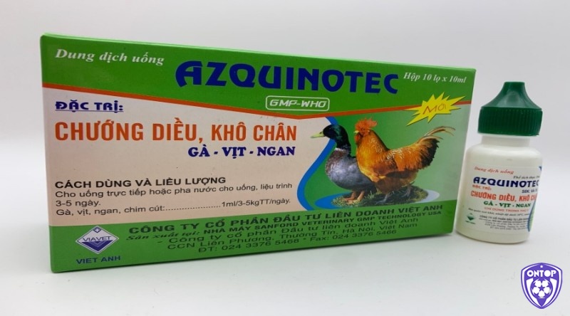 Cách chữa gà chọi gáy không ra tiếng do chế độ xổ là dùng Azquinotex