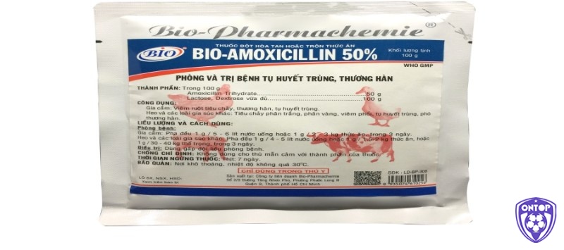  Sử dụng thuốc Amoxicillin chữa gà chọi gáy không ra tiếng do bệnh IC