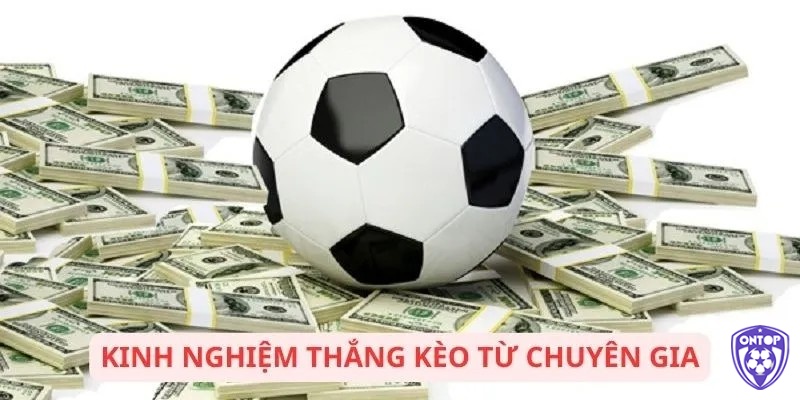 Kinh nghiệm cược kèo tài xỉu 2.5-3 từ chuyên gia chia sẻ 