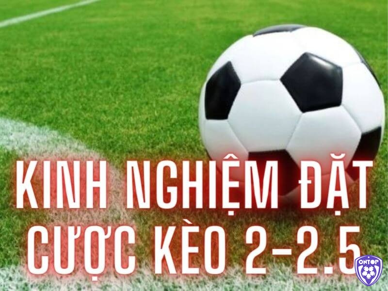 Kinh nghiệm chơi kèo tài xỉu 2-2.5 trái từ chuyên gia chia sẻ 