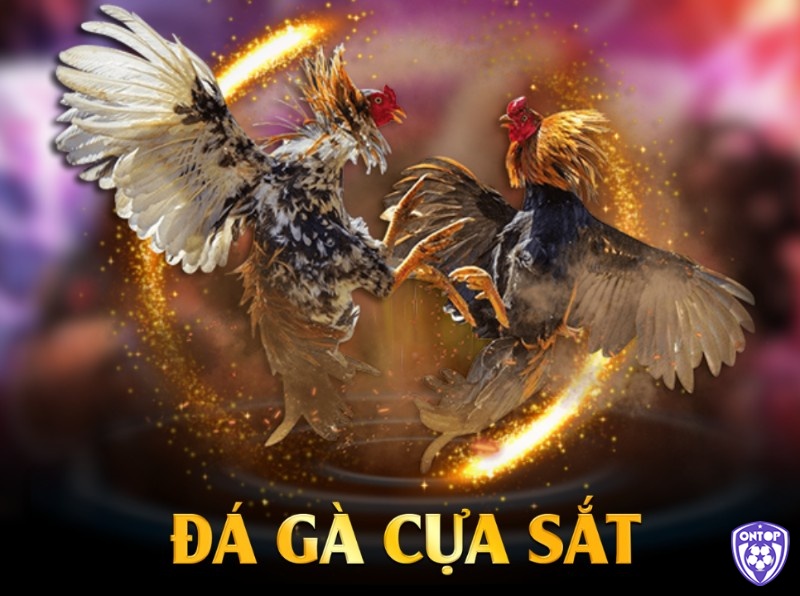 Nguồn gốc của đá gà cựa sắt