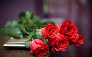 Giải mã giấc mơ thấy hoa hồng báo điềm gì? Đánh số mấy?