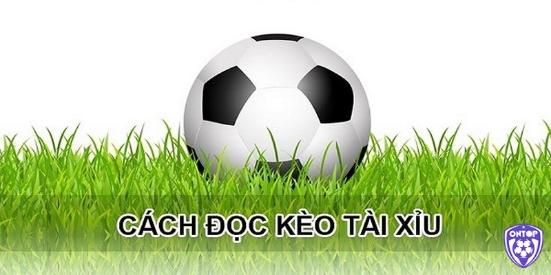 Cách đọc kèo tài xỉu 3 1/2 chuẩn xác nhất như thế nào?