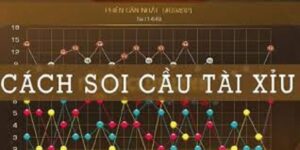 Đọc cầu tài xỉu: Hướng dẫn chi tiết kỹ thuật chuẩn xác năm 2025