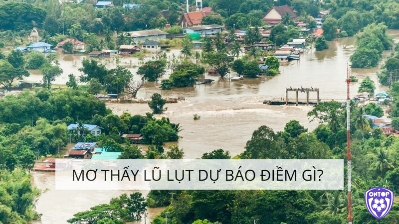 Giải mã giấc mơ nước lũ chuẩn cùng Ontop88