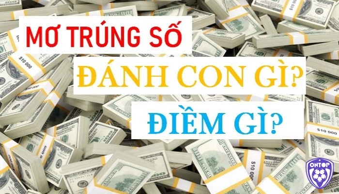 Nằm mơ thấy mình trúng lô là điềm báo về sự thay đổi