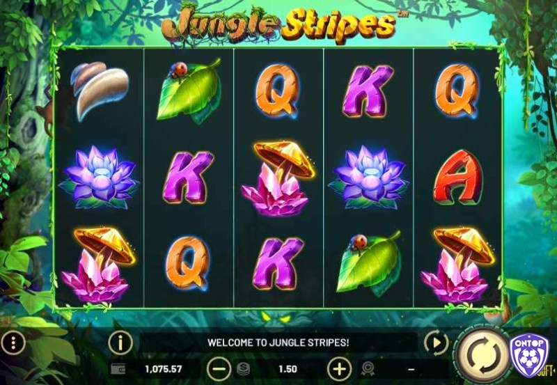 Thiết lập giới hạn thời gian và tiền bạc là điều cần thiết khi chơi slot jungle stripes