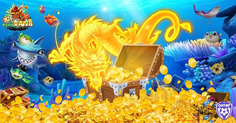 Anh em có thể tham gia trải nghiệm mọi lúc, mọi nơi trong khoảng thời gian rảnh