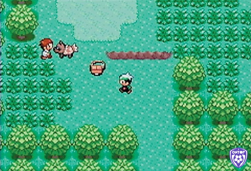 Pokémon Emerald – bản mở rộng cân bằng, giàu thử thách và rất được lòng người hâm mộ