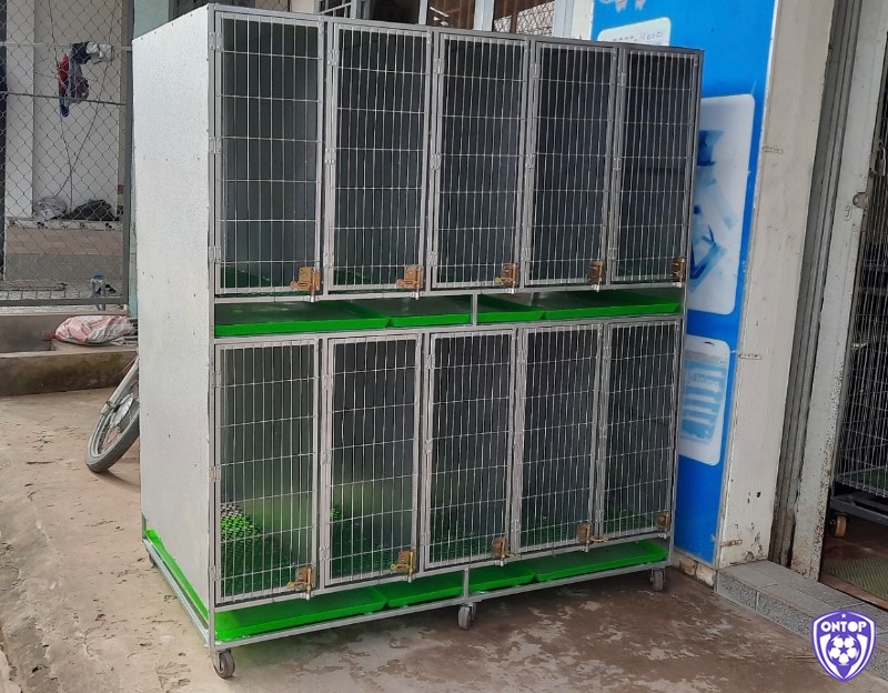 Sử dụng vật liệu phù hợp giúp bảo vệ đàn gà khỏi tác nhân gây bệnh và nâng cao độ bền của chuồng trại