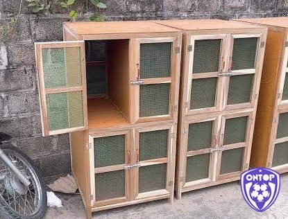 Cùng Ontop88 tìm hiểu kỹ hơn về chuồng ngủ cho gà chọi nhé