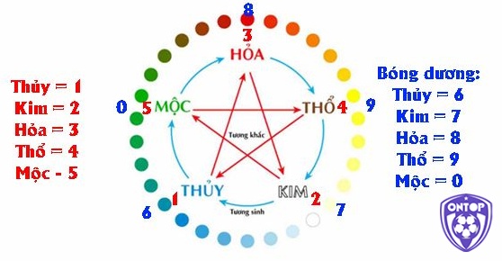 Bóng số và ngũ hành mở rộng thêm hướng nhìn, giúp người chơi linh hoạt hơn khi xác định lô về kép nhiều hôm sau đánh con gì.