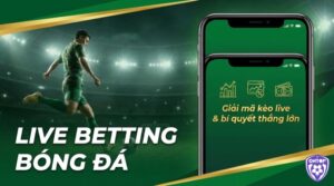 Live betting bóng đá là gì? Hướng dẫn soi kèo live chuẩn