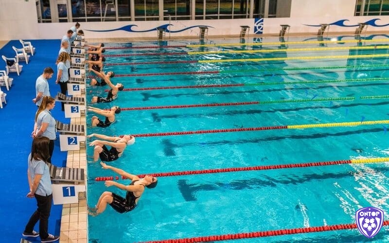 Giấc mơ thấy mình thi bơi với người khác thể hiện sự cạnh tranh trong cuộc sống của bạn